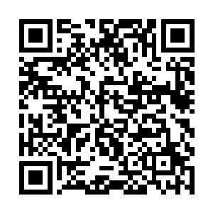 而生活在悬天界的灵兽则拥有近乎于毁天灭地的力量二维码生成