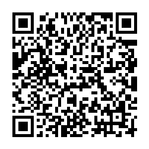 而白瑾之所以表情会有如此大的变化那是因为此刻她看到了前方下次了烟花雨二维码生成