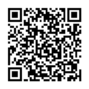 而看着张铁被这么一群孩子围着时那充满父爱的开心笑容二维码生成