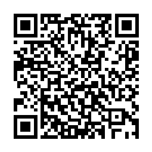 而眼前的女子能够如此轻松的挥舞这那把不凡的武器二维码生成