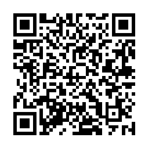 而眼前的老者跟下面的那群围攻的人显然都是一伙儿的二维码生成
