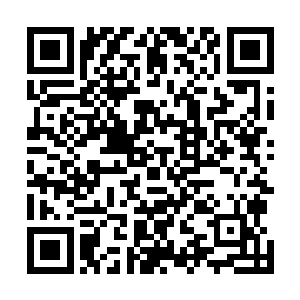 而眼前的这个玄黄巨兽赫然是已经达到了道君顶峰的境界二维码生成