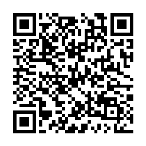 而眼前这个聚灵阵大得绝对已经颠覆了他们的认知二维码生成