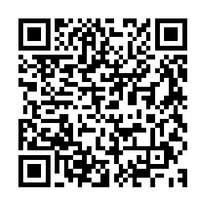 而眼前这四名骑着魔兽而来的人仅有天空圣师和大地圣师的实力二维码生成