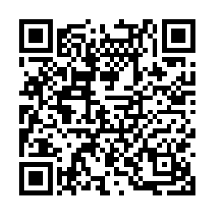 而眼前龙族太子手中的显然只是九龙印之中的一印二维码生成