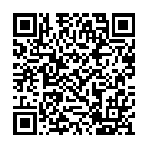 而知道一些内幕的艾莉娜更不会多嘴去特意解释二维码生成