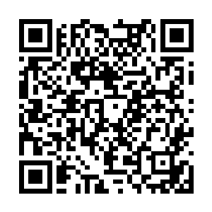 而秦宇的元神头顶之上却是出现了一朵黄色的花瓣二维码生成