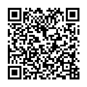 而空中的火焰种子在不断的剥落过程中也在不断的重凝二维码生成