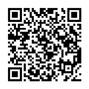 而等到所有人看清楚这五道身影的时候也全都愣住了二维码生成