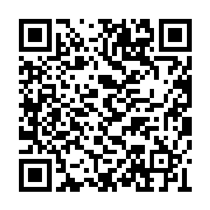 而等到黑风舰队在星耀联邦面前撞了个头破血流二维码生成