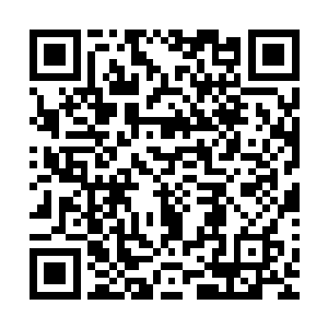而等我看到她怀中抱着一身我熟悉的蓝白相间掌门袍子的时候二维码生成