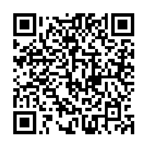 而绝大部分逃亡者和幸存者又都藏匿在人迹罕至的隐秘之地二维码生成