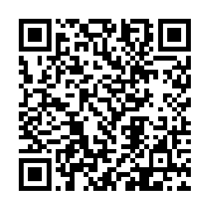 而维尔玛此时正因为杀害通奸的丈夫和妹妹声名大噪二维码生成