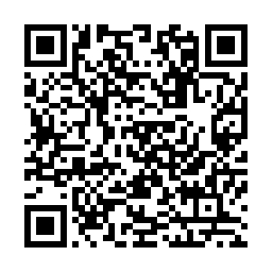 而维林在这种威势下面就显得好像一只小蚂蚁一般手足无措二维码生成