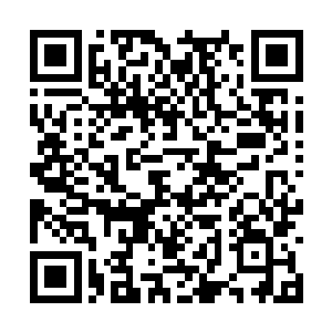 而罗楼此时想要摘取胜利果实也不得不冒险一把了二维码生成