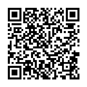 而羊家的那几名长老则是默不作声的打量着剑尘二维码生成