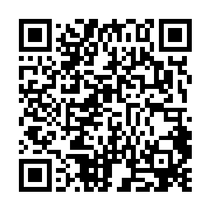 而脾气有点儿暴的吴幸却是直接伸手把白妃给推到了~二维码生成