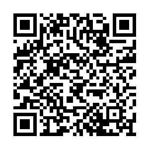 而自己也不甘这一样一直被老爷子的掌握在手里二维码生成