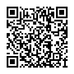 而自己却假装奴仆……墨则灵的内心是最受煎熬二维码生成