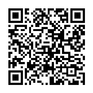 而至于为什么秦宇先前会对自己大舅和刘扬说张家有鬼二维码生成