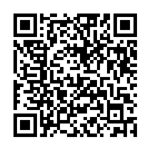 而苏凡也是的身子也是快速的朝着眼前的这名男子而去二维码生成