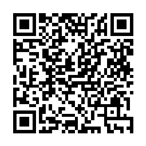 而苏凡听着王楠这么将顿时也将目光放在了左边的人身上二维码生成