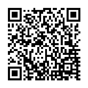 而莫顿公爵派人掳走苏门大巫的行为也让他们百思不得其解二维码生成