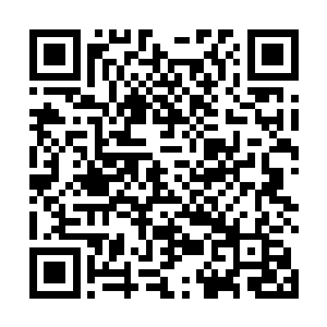 而虽然暂时不知道这明显并不是种子的莲子有什么妙用二维码生成