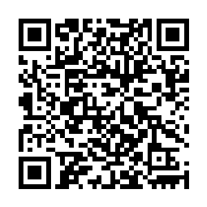 而被抓着头发的路易斯二世无奈也只能偶跟着一起起来二维码生成