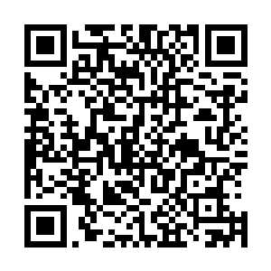 而被第一个抓了典型被推出来的雪千歌凉凉看了秦岚风一眼二维码生成