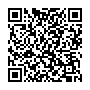 而让她有这种下场的那个人正是她刚才最瞧不起的那个人二维码生成