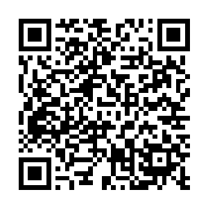 而许多人就算修为到了彩莲也不见得就一定能升上将品级二维码生成