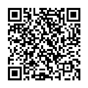 而许天狼和风灵儿等人则是不知所谓地转头看看许麒二维码生成