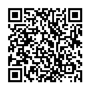 而许紫烟的修为只有筑基期第十二层后期巅峰的水平二维码生成