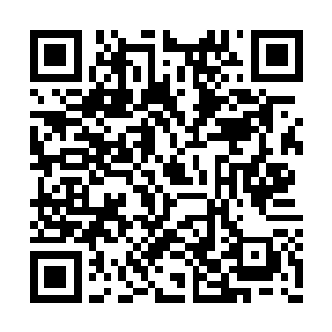 而诸葛正明其中就有着一根强化针和一颗强化丸二维码生成