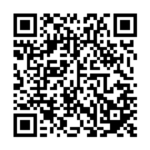 而赵小龙吃惊的是夏云杰年纪轻轻竟然会是一位大学老师二维码生成