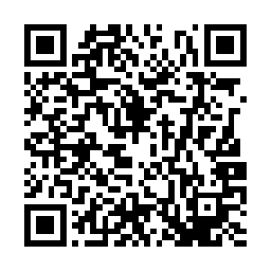而赵樽也是早就习惯了她这一副牛都嚼不烂的德性二维码生成