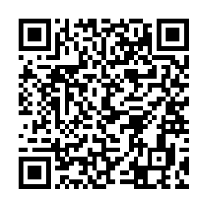 而趁着这些树妖和石妖都受到壶中仙力量压制的瞬间二维码生成