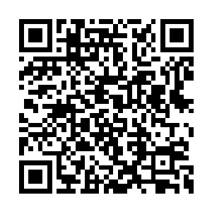 而路遥陈倩等人无奈的看了财务室中的几人一眼二维码生成