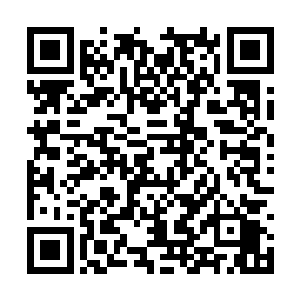 而身在炼狱的杨庆却负手徘徊在惊涛拍岸的山崖边二维码生成