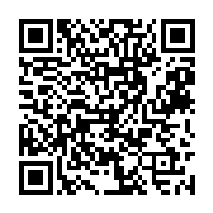 而迈克和罗伊则在地上翻了几个滚之后留在了地上二维码生成