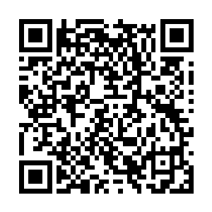 而这一切就因为周城昆轻飘飘的一句话就给夺走了二维码生成