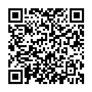 而这一次天庭竟然一次性赏赐了十枚上等蟠桃和百枚中等蟠桃二维码生成