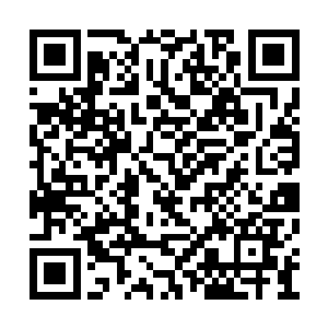 而这两个人已经在第二次空投的时候来过一次了二维码生成