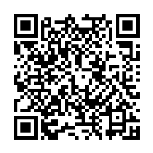 而这个丛林明显和之前那片杂草丛生的野地不一样二维码生成