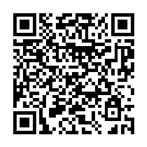 而这个时候看到白素仙手上突然多出来的那个瓶子二维码生成