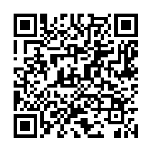 而这个时候远处的韩佳儿突然之间便是晕倒了过去二维码生成