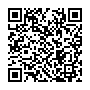 而这个武装组织的头头不可能亲自与高扬他们接触二维码生成
