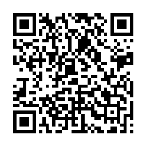 而这个百变妖姬就是一个在125级boss下的一个主力喽啰二维码生成