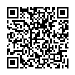 而这也是我们决定引入snl的原因――我认为在未来的几年里二维码生成